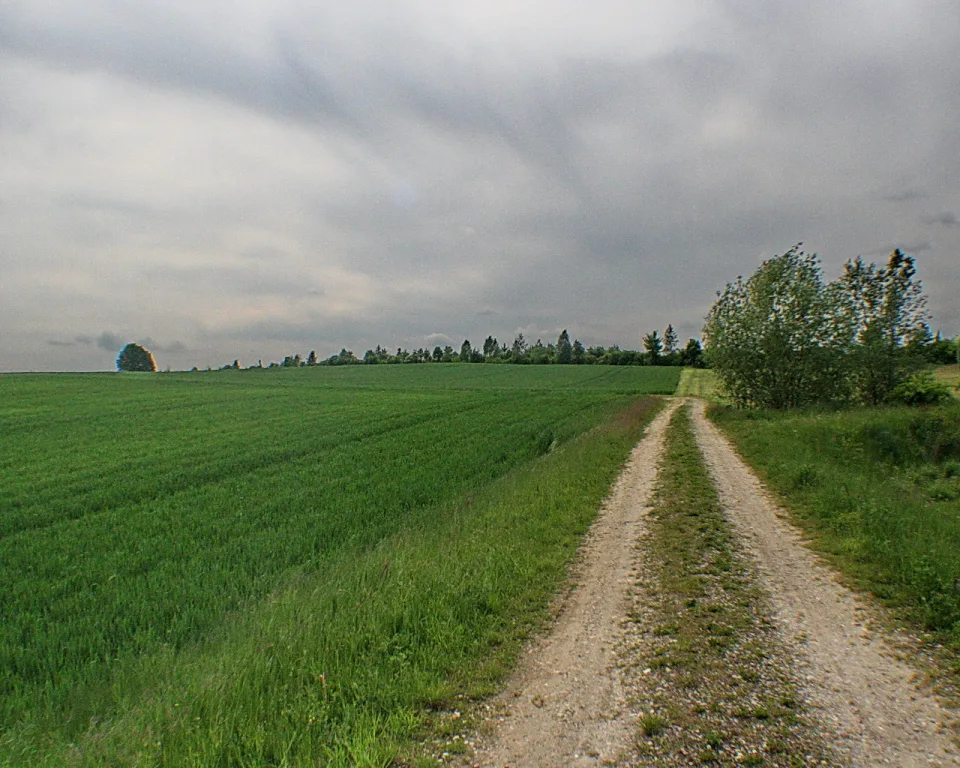 Ein heller Schotterweg führt geradeaus durch ein grünes Feld, rechts stehen Bäume, und der Himmel ist stark bewölkt.