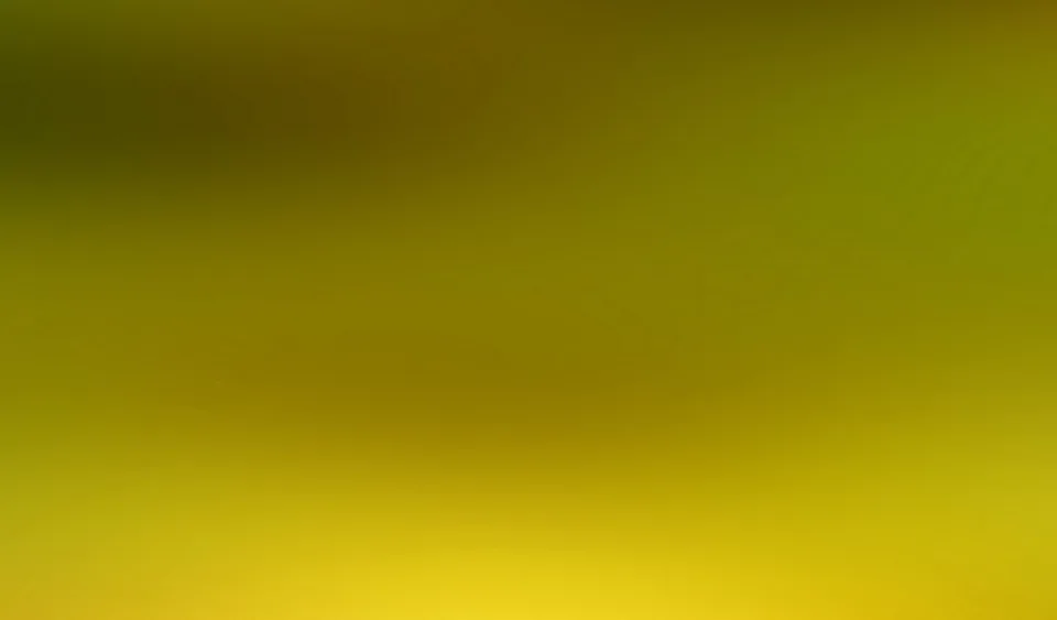 Unscharfer Farbverlauf von dunklem Olivgrün oben links zu leuchtendem Gelb am unteren Bildrand.