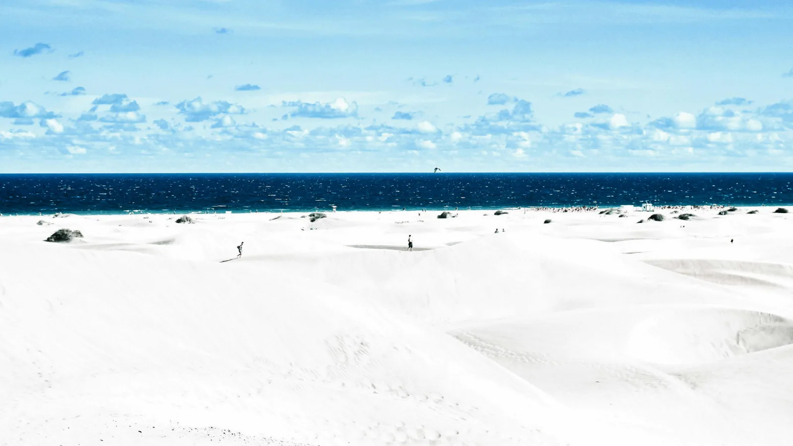 Weite weiße Sanddünen unter blauem Himmel, dahinter das dunkelblaue Meer; im Mittelgrund zwei winzige Personen und einzelne grüne Büsche.