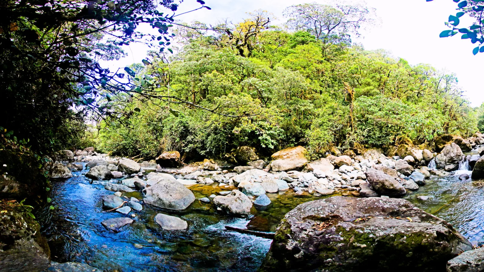 Flacher Bergfluss mit klarem Wasser fließt zwischen großen, teils moosbewachsenen Felsbrocken durch dichten grünen Regenwald unter hellem Himmel.