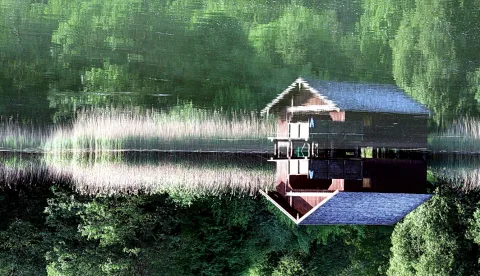 Holzhütte auf Stelzen über einem Seeufer mit hohem Schilf, dahinter dunkelgrüne Bäume, die sich im ruhigen Wasser spiegeln.