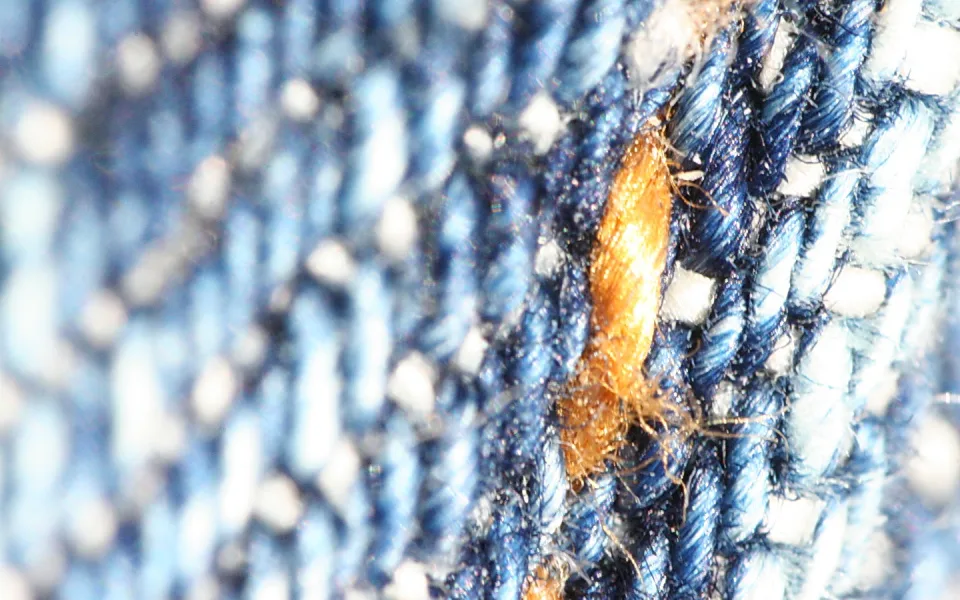 Nahaufnahme von blauem Jeansstoff mit einer orangefarbenen Faser in der Bildmitte, Fasern und Garn scharf im Zentrum und unscharf an den Rändern.