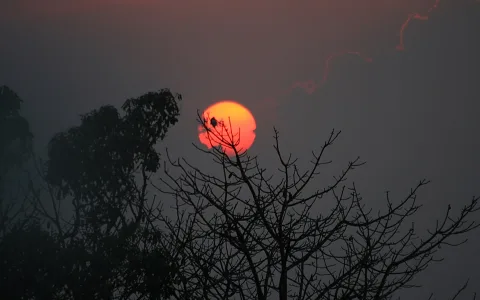 Rote Sonne sinkt im Dunst hinter kahlen Baumzweigen unter, davor dunkle Baumsilhouetten.