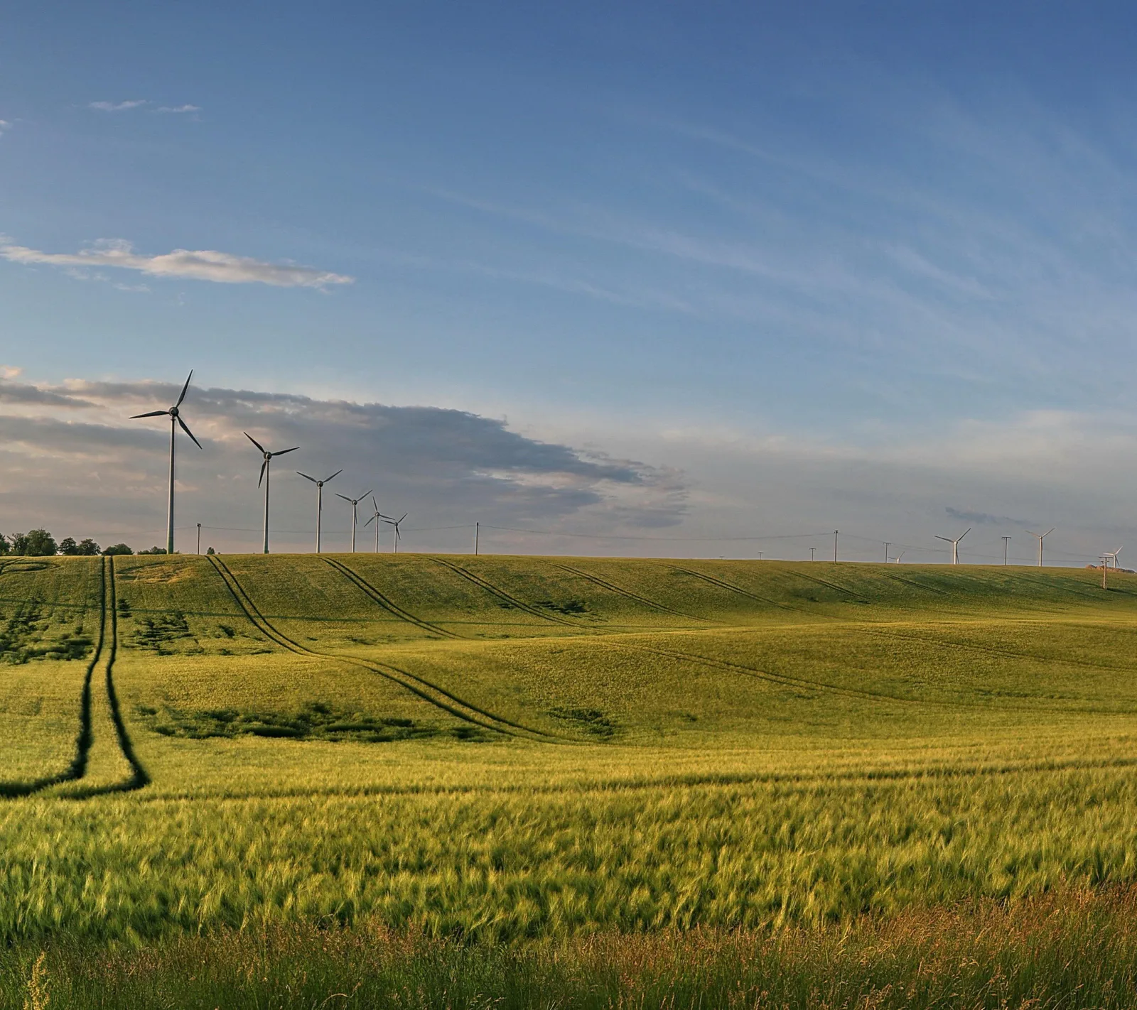 Windräder auf einem Hügelkamm über einem grünen Gerstenfeld mit Traktorspuren unter blauem Himmel mit Wolken.
