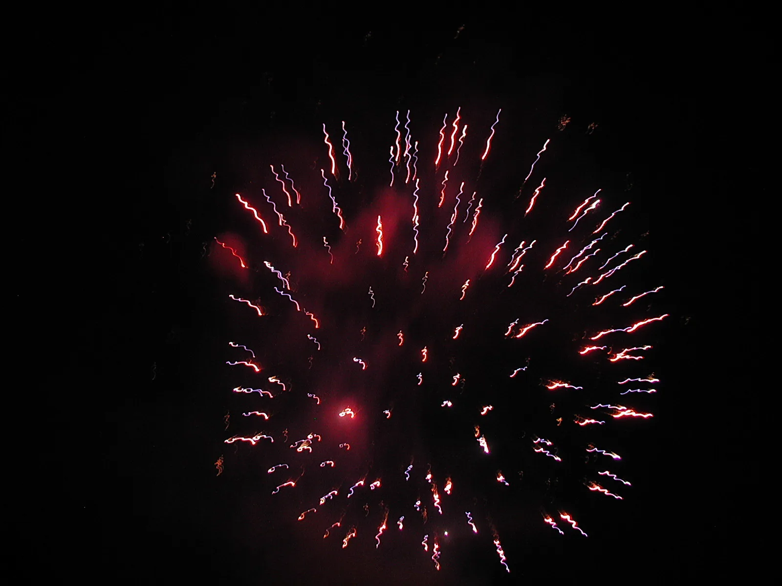 Rote und blaue Lichtspuren von Feuerwerksraketen strahlen vor schwarzem Nachthimmel von einem Mittelpunkt aus.