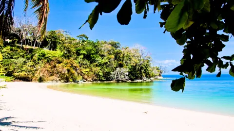 Weißer Sandstrand in einer geschwungenen Bucht mit türkisfarbenem Wasser, links bewaldete Küste, im Vordergrund Blätter eines Baums und eine Palme am linken Rand, blauer Himmel.