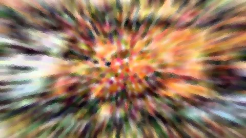 Abstrakte, unscharfe Farbexplosion mit radial von der Mitte ausgehenden Strahlen in Orange, Grün und Gelb
