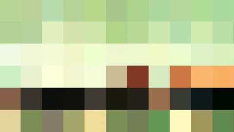 Pixeliges Farbmosaik aus hellgrünen, cremefarbenen, braunen und schwarzen Feldern in horizontalen Reihen