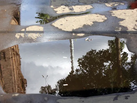 Pfütze auf einem Pflaster, in der sich Himmel, ein Baum und eine Hauswand spiegeln