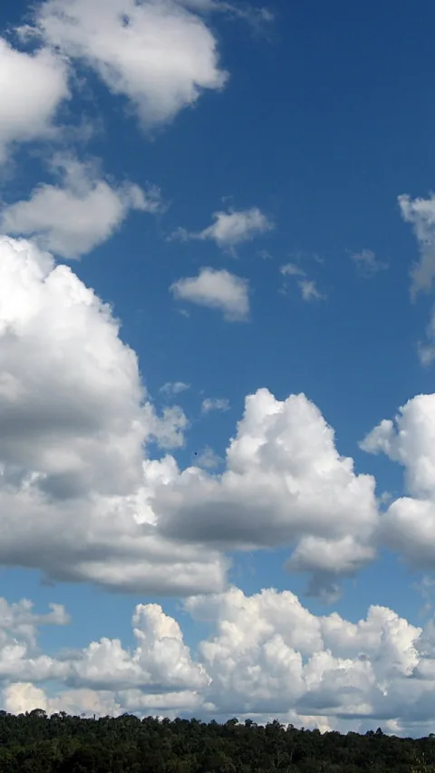 Hochformat: Weiße Kumuluswolken vor blauem Himmel, unten ein dunkler Waldsaum mit Baumwipfeln.