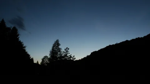 Dunkle Silhouetten von Nadelbäumen und einem bewaldeten Hügel vor einem dunkelblauen Abendhimmel, der zum Horizont hin heller wird.