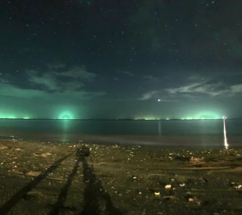 Nachtaufnahme eines Strands mit Sternenhimmel, grün leuchtendem Horizont über dem Meer und Reifenspuren im Sand im Vordergrund.