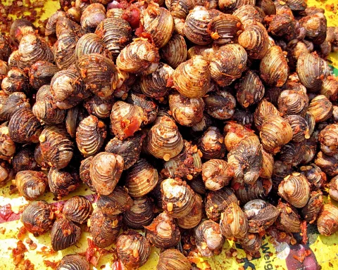 Dicht gehäufte Muscheln, mit roter Chilimischung bestreut, auf gelbem Untergrund