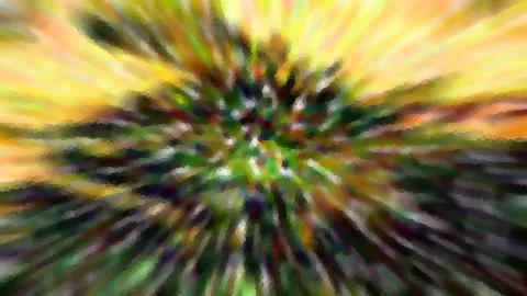 Abstrakte Aufnahme mit radialer Bewegungsunschärfe: Ein dunkles, grünes Zentrum wird von gelben und orangefarbenen Strahlen umgeben, mosaikartig verpixelt.
