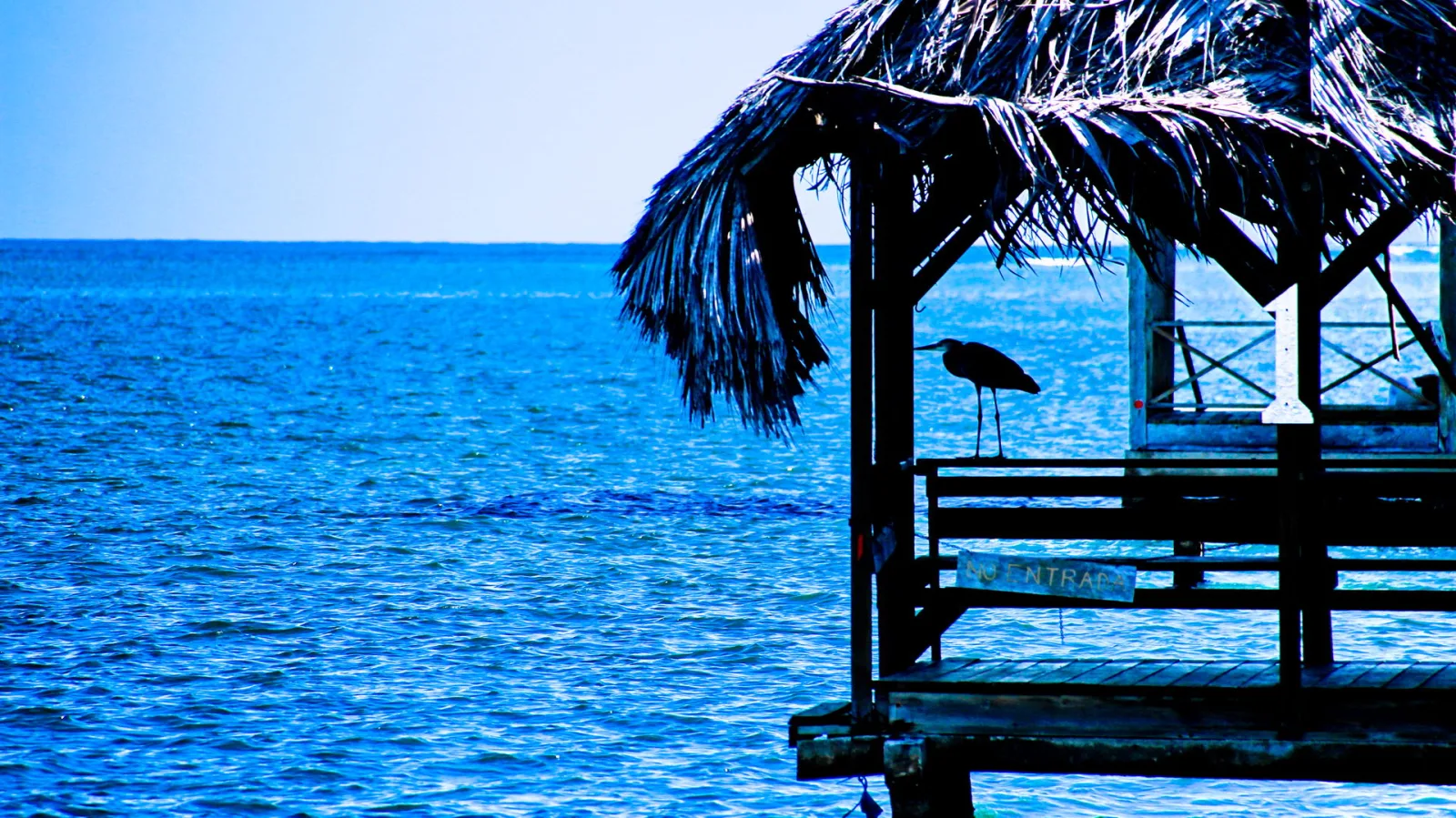 Holzsteg mit Palmblattdach über blauem Meer, auf dem Geländer steht ein Reiher