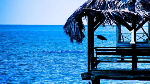 Holzsteg mit Palmblattdach über blauem Meer, auf dem Geländer steht ein Reiher
