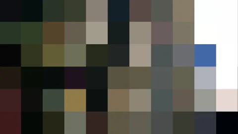 Rasterbild aus kleinen farbigen Blöcken in Grün, Braun, Grau und Weiß, einzelne Blöcke in Blau und Rosa.