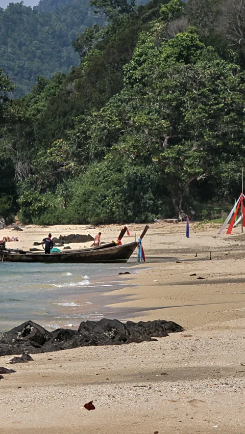 Ein hölzernes Langboot liegt am Ufer eines sandigen Strands, im Wasser links davon brechen sich kleine Wellen, dahinter steigt dichter grüner Wald an, rechts stehen bunte Wimpel im Sand.