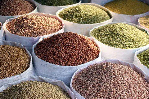 Mehrere weiße Säcke, bis zum Rand gefüllt mit Hülsenfrüchten und Getreide auf einem Markt, in Braun-, Beige- und Grüntönen.