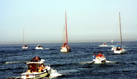 Mehrere Segel- und Motorboote fahren bei Sonnenschein über ein blaues Meer, im Vordergrund ein Motorboot mit Personen in Schwimmwesten, dahinter zwei Segelboote mit hohen Masten.