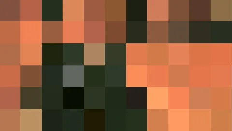 Mosaik aus quadratischen Pixelblöcken in Orange, Braun, Dunkelgrün und vereinzelt Grau.