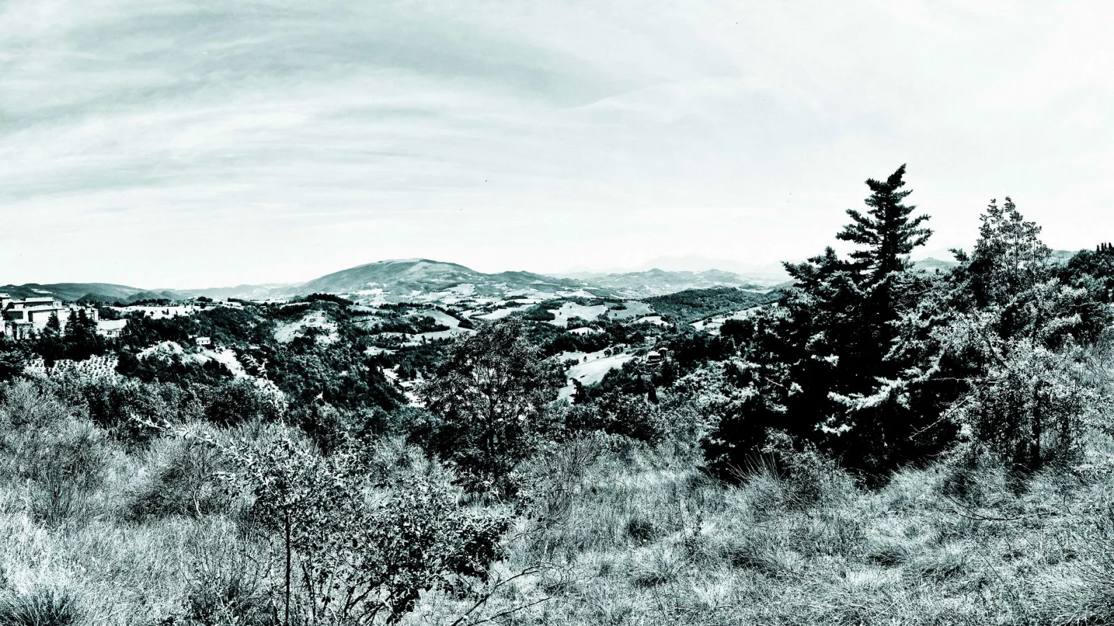 Schwarzweiße Panoramaaufnahme einer hügeligen Landschaft mit Dorf, dunklen Nadelbäumen im Vordergrund und bewölktem Himmel