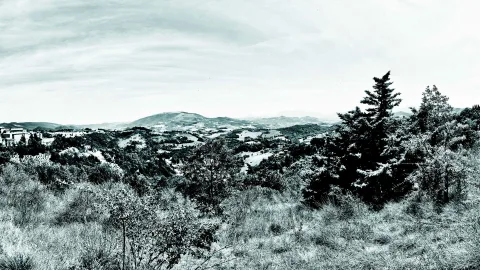 Schwarzweiße Panoramaaufnahme einer hügeligen Landschaft mit Dorf, dunklen Nadelbäumen im Vordergrund und bewölktem Himmel