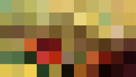 Mosaik aus quadratischen Farbfeldern in Oliv, Gelb, Braun, Rot und Schwarz, angeordnet in sechs Reihen.