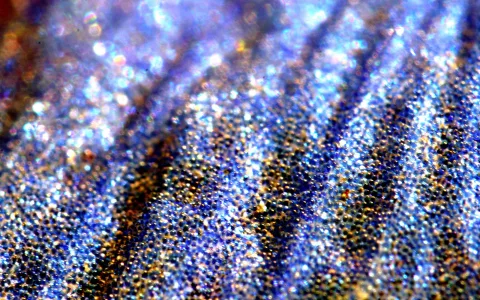 Makroaufnahme einer blau-lila schimmernden, fein gekörnten Oberfläche mit diagonalen Rillen und vielen glänzenden Lichtpunkten