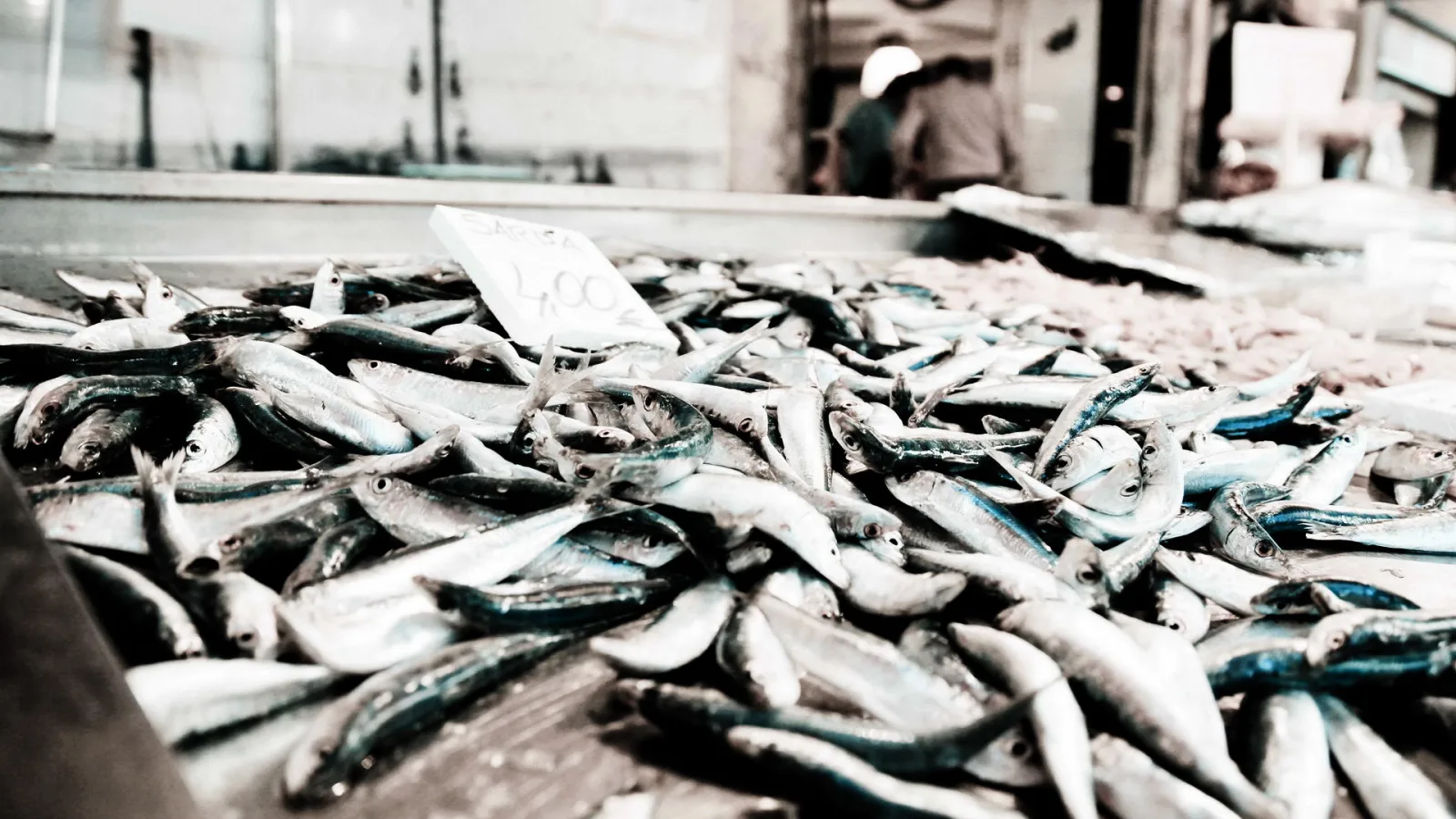 Viele kleine silbrig-blaue Fische liegen dicht gedrängt auf einer Auslage, dahinter verschwommen ein Marktstand mit Menschen.