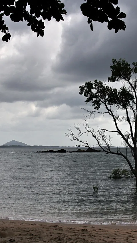 Graue Gewitterwolken über einer Meeresbucht mit Sandstrand im Vordergrund, rechts ein kahler Baum im Wasser, links eine Insel am Horizont.