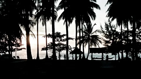 Schwarze Silhouetten hoher Palmen vor einem hellen Abendhimmel über dem Meer, am Strand stehen Strandhütten und eine Hängematte.