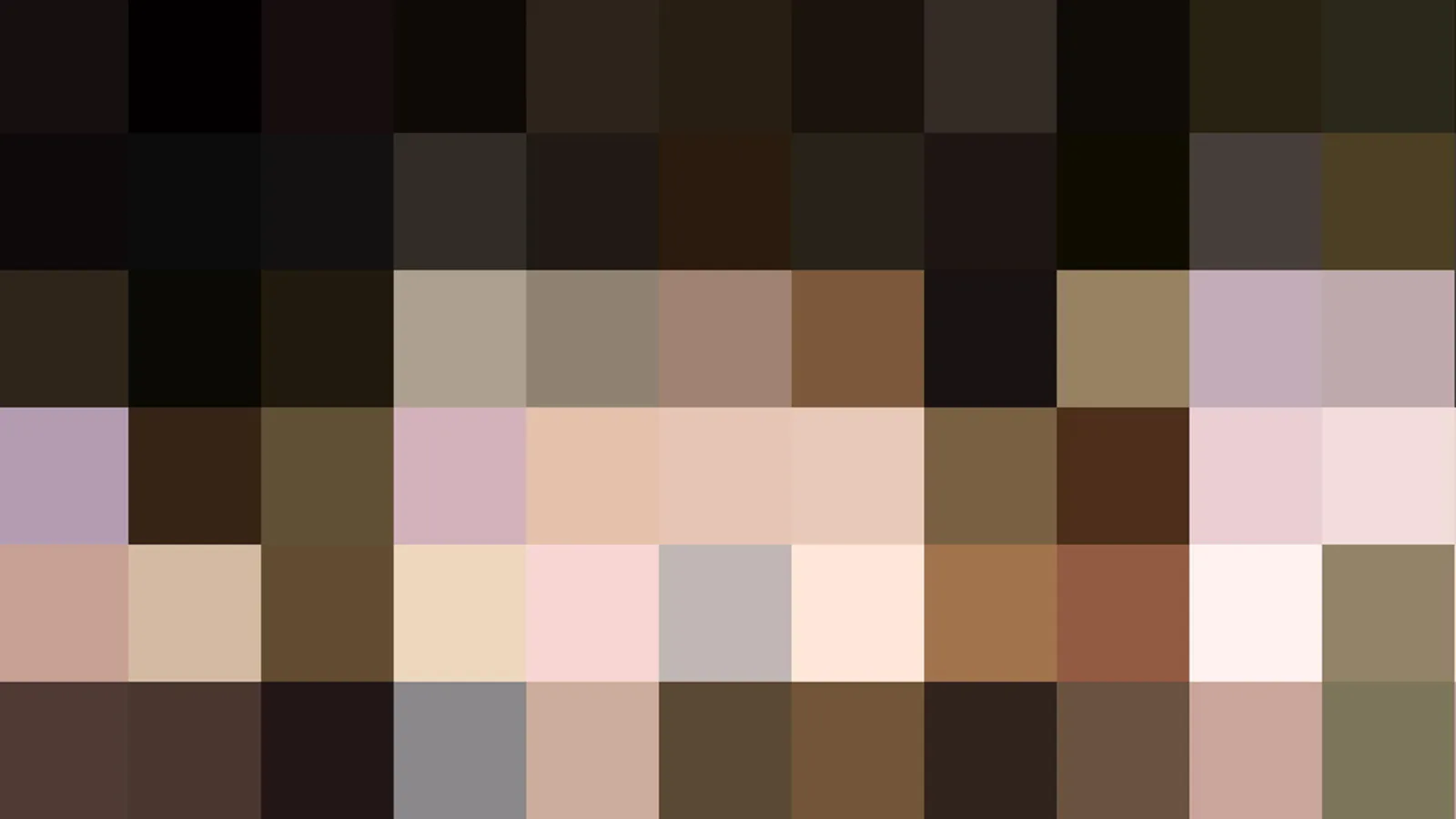 Pixelmosaik aus dunklen und hellen Hauttönen in einem Raster aus gleich großen Quadraten.