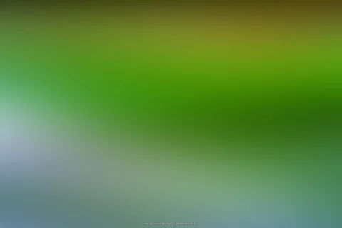 Unscharfer Verlauf von Grün über Olivbraun oben bis Grau und Blaugrau unten, ohne erkennbare Motive.