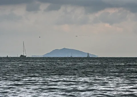 Zwei Segelboote auf dunklem Meer, im Hintergrund eine bewaldete Insel unter bedecktem Himmel, darüber ein kleiner Vogelschwarm.