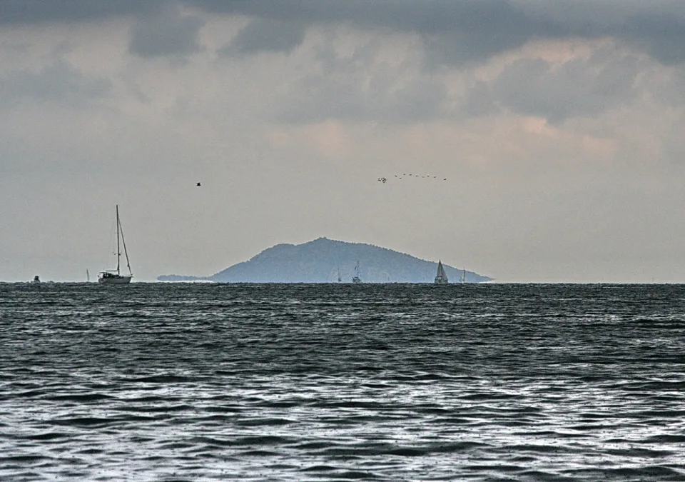Zwei Segelboote auf dunklem Meer, im Hintergrund eine bewaldete Insel unter bedecktem Himmel, darüber ein kleiner Vogelschwarm.
