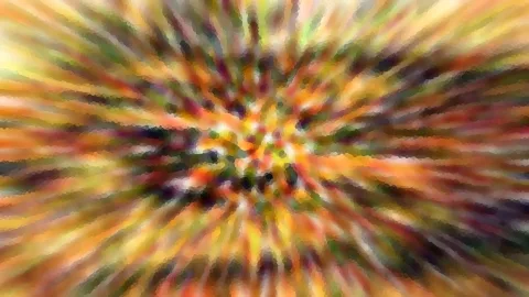 Abstrakte Komposition aus orangen, gelben und grünen Farbstreifen, die vom Mittelpunkt radial nach außen laufen.