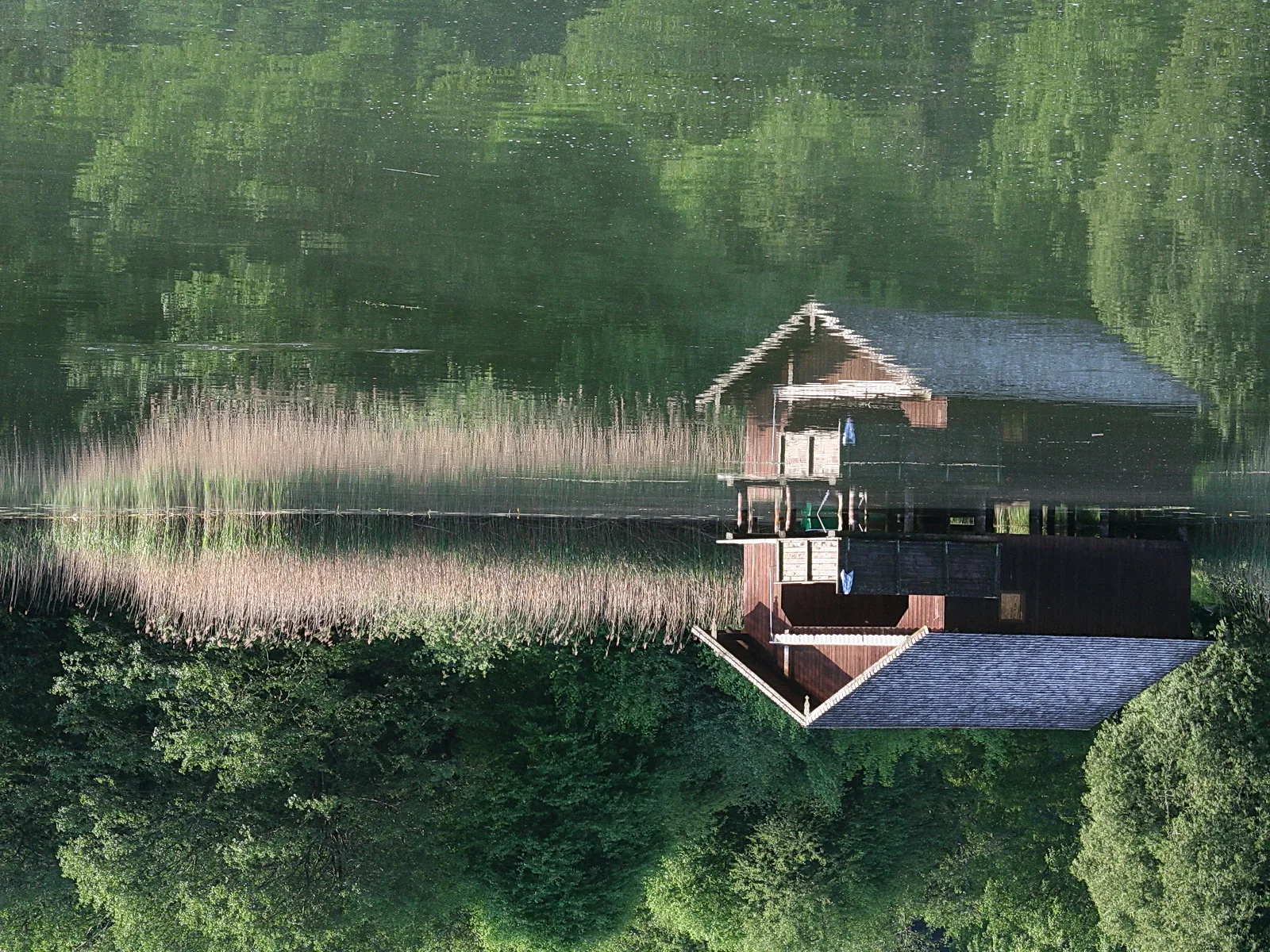 Eine holzverkleidete Hütte auf Pfählen steht am Ufer eines stillen Sees, davor hohes Schilf, im Wasser spiegeln sich grüne Bäume.