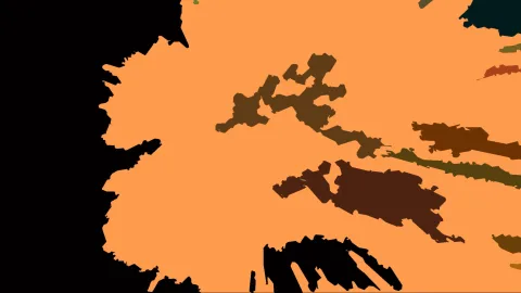 Abstrakte Komposition aus einer großen orangefarbenen Fläche mit dunkelbraunen und schwarzen, unregelmäßig geformten Flecken und einem schwarzen Rand links.