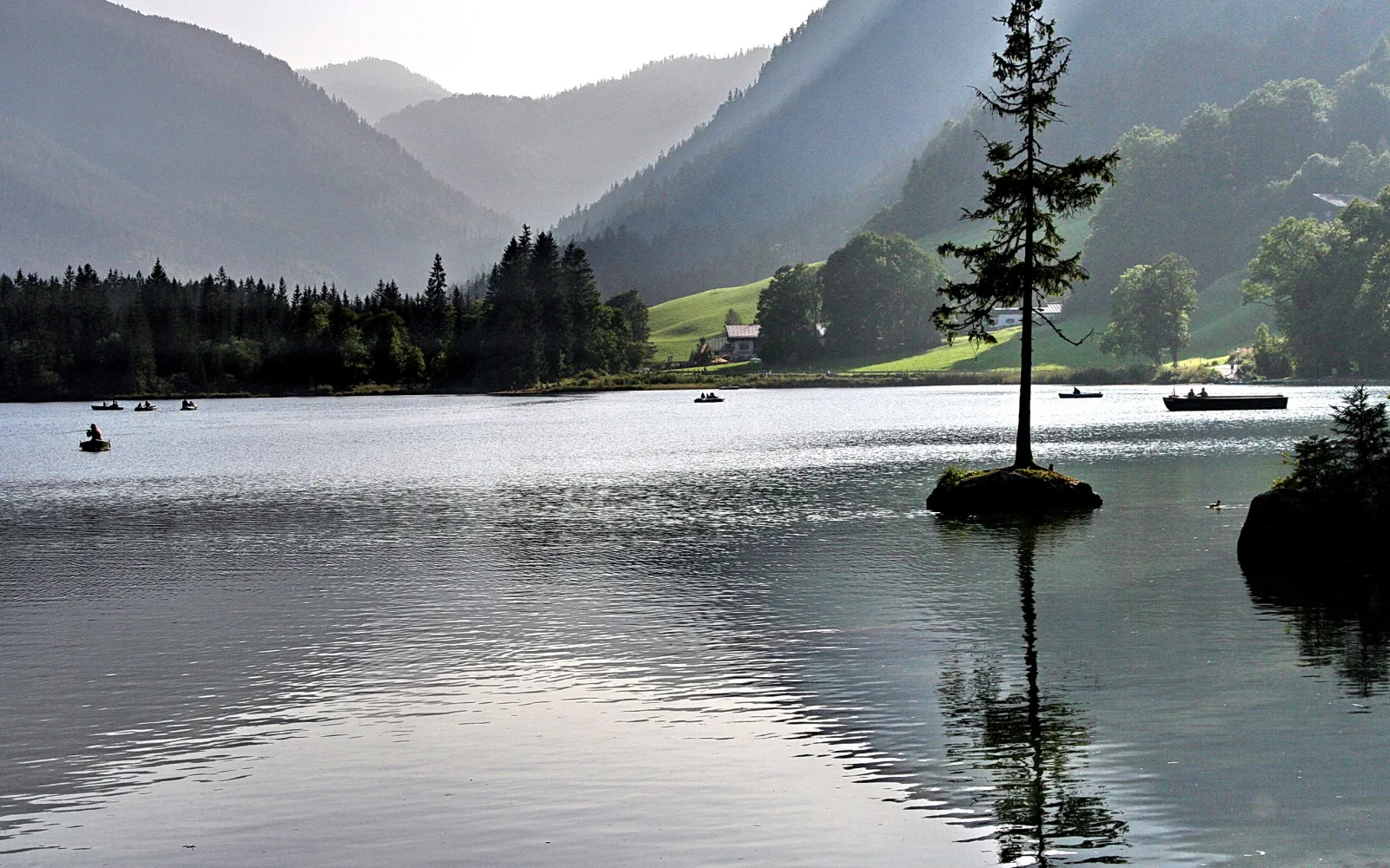 Eine einzelne Fichte steht auf einer kleinen Felsinsel in einem ruhigen Bergsee, dahinter bewaldete Berghänge und grüne Wiesen mit einem Haus, auf dem Wasser sind mehrere Boote zu sehen.