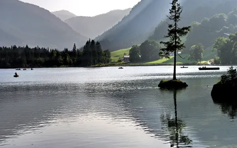 Eine einzelne Fichte steht auf einer kleinen Felsinsel in einem ruhigen Bergsee, dahinter bewaldete Berghänge und grüne Wiesen mit einem Haus, auf dem Wasser sind mehrere Boote zu sehen.