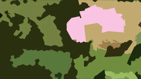 Abstraktes Muster aus grünen, dunkelolivgrünen, beigen und rosafarbenen Flächen mit unregelmäßigen Kanten.