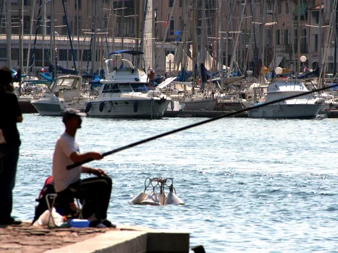 Ein Angler sitzt auf einer Kaimauer und hält eine lange Angelrute über das Wasser. Im Hintergrund liegen viele Segelboote und Motoryachten dicht nebeneinander im Hafen, dahinter stehen Gebäude.