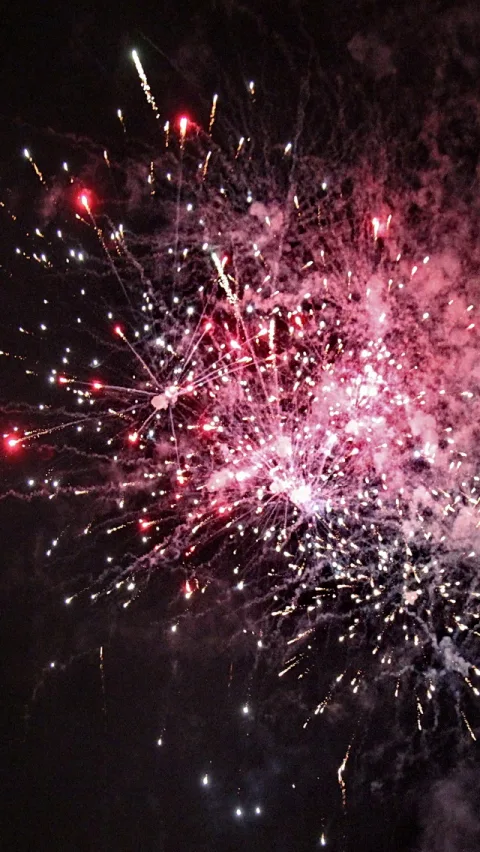 Feuerwerk mit roten, pinken und weißen Funken vor dunklem Nachthimmel, die Explosion breitet sich von der Mitte nach außen aus.