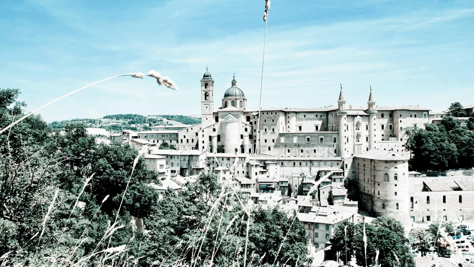 Blick auf die mittelalterliche Stadt Urbino mit dem Palazzo Ducale, einem großen Palast aus hellem Backstein mit Türmen, daneben eine Kuppel und ein Glockenturm, davor dichtes Grün und Gräser im Vordergrund unter blauem Himmel.