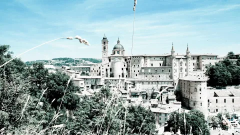 Blick auf die mittelalterliche Stadt Urbino mit dem Palazzo Ducale, einem großen Palast aus hellem Backstein mit Türmen, daneben eine Kuppel und ein Glockenturm, davor dichtes Grün und Gräser im Vordergrund unter blauem Himmel.