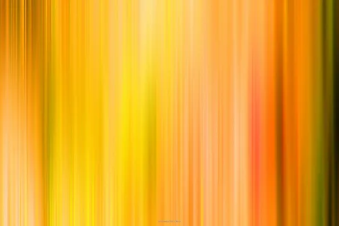 Verschwommene vertikale Streifen in Gelb, Orange und Rot, die von links nach rechts ineinander übergehen, am rechten Rand dunkles Olivgrün.