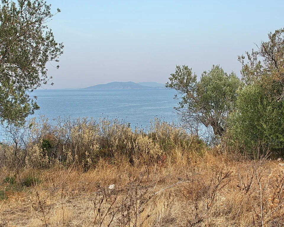 Blick von einem trockenen Hang über ein blaues Meer auf eine ferne Insel, im Vordergrund Olivenbäume und vertrocknetes Gras unter hellblauem Dunsthimmel.
