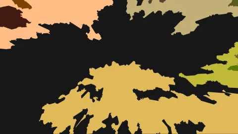 Abstraktes Bild mit großen schwarzen, organischen Formen vor pfirsichfarbenen, ockerfarbenen und olivgrünen Flächen.