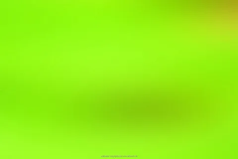 Unscharfer Farbverlauf in Limettengrün, in der Bildmitte eine dunklere grüne Fläche und oben rechts ein gelblicher Schimmer.